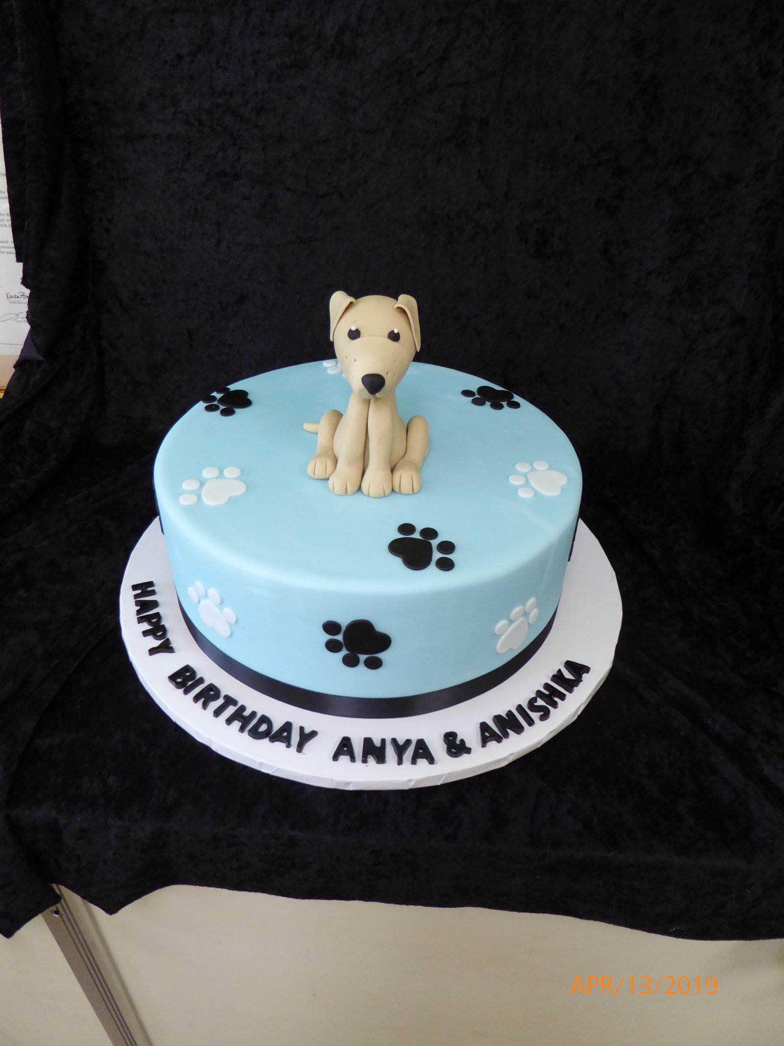 Paw Print Birthday Cake 2025