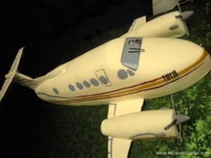 289, birthday, plane, airplane, edible image, carved